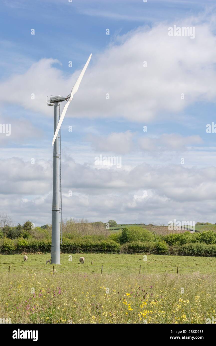 A Gaia brand wind turbine in a farm field set against blue sky of early Summer. Metaphor renewable energy, wind energy, alternative power, summer sky. Stock Photo