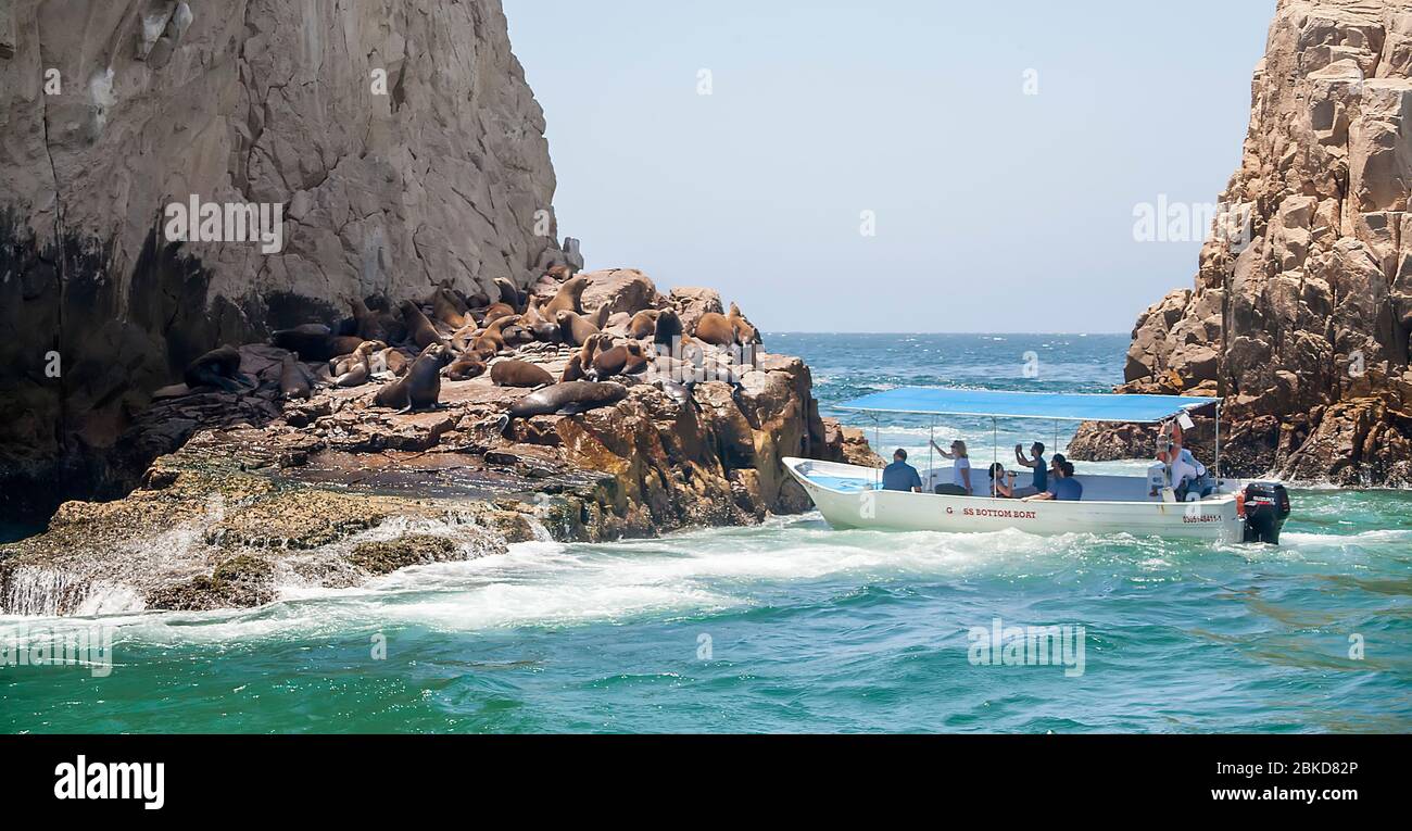 Boat approaches sea lions near The Arch, Cabo San Lucas, Baja California Sur, Mexico Stock Photo