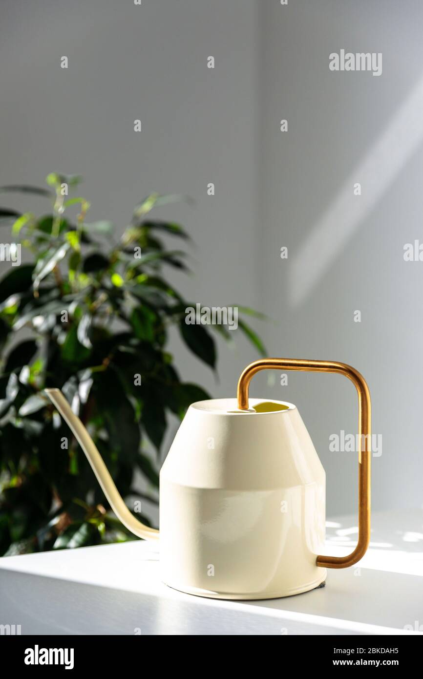 Close up of elegant white metallic watering can with long thin spout and yellow thin circular