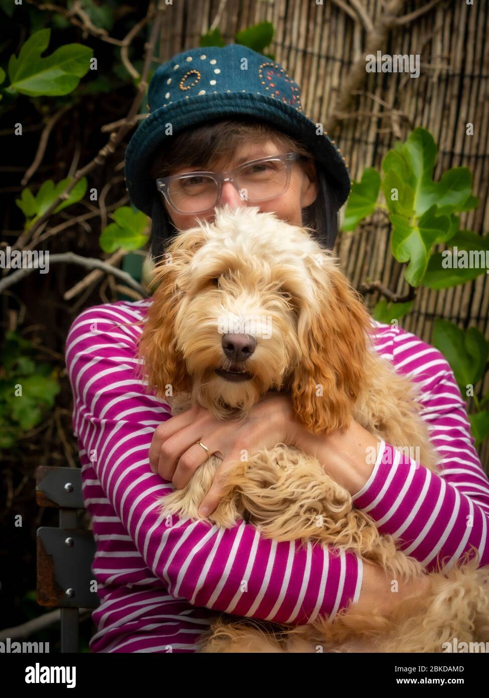 Shaggy cockapoo sale