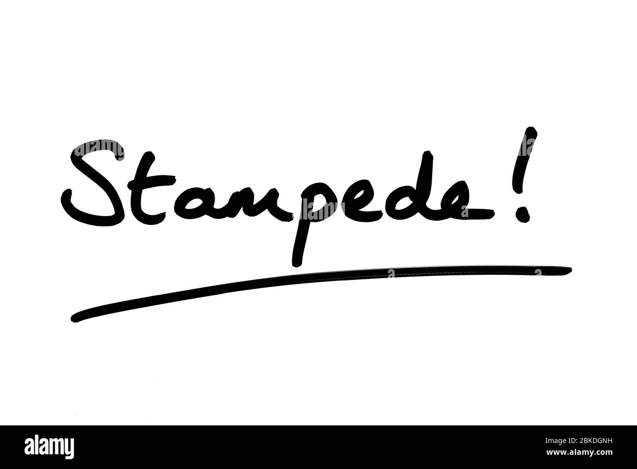 Stampede! handwritten on a white background. Stock Photo