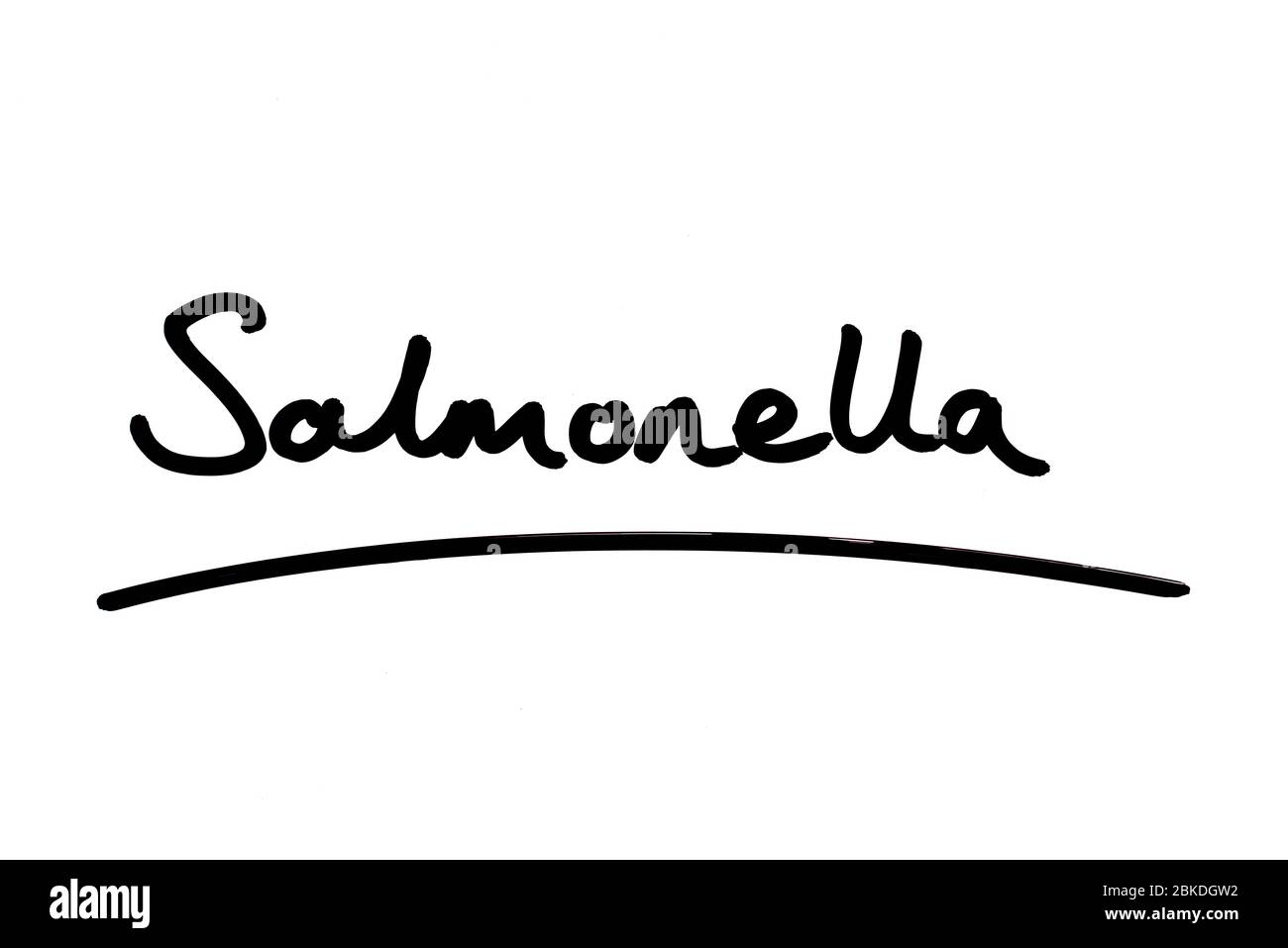 Salmonella handwritten on a white background. Stock Photo