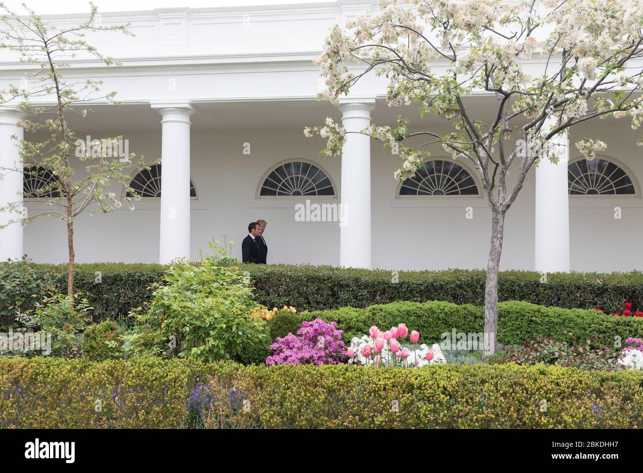 President Donald Trump hosts French President Emmanuel Macron for an official state visit. The event strengthens U.S.-France relations through discussions on global issues, trade, and diplomacy. Stock Photo