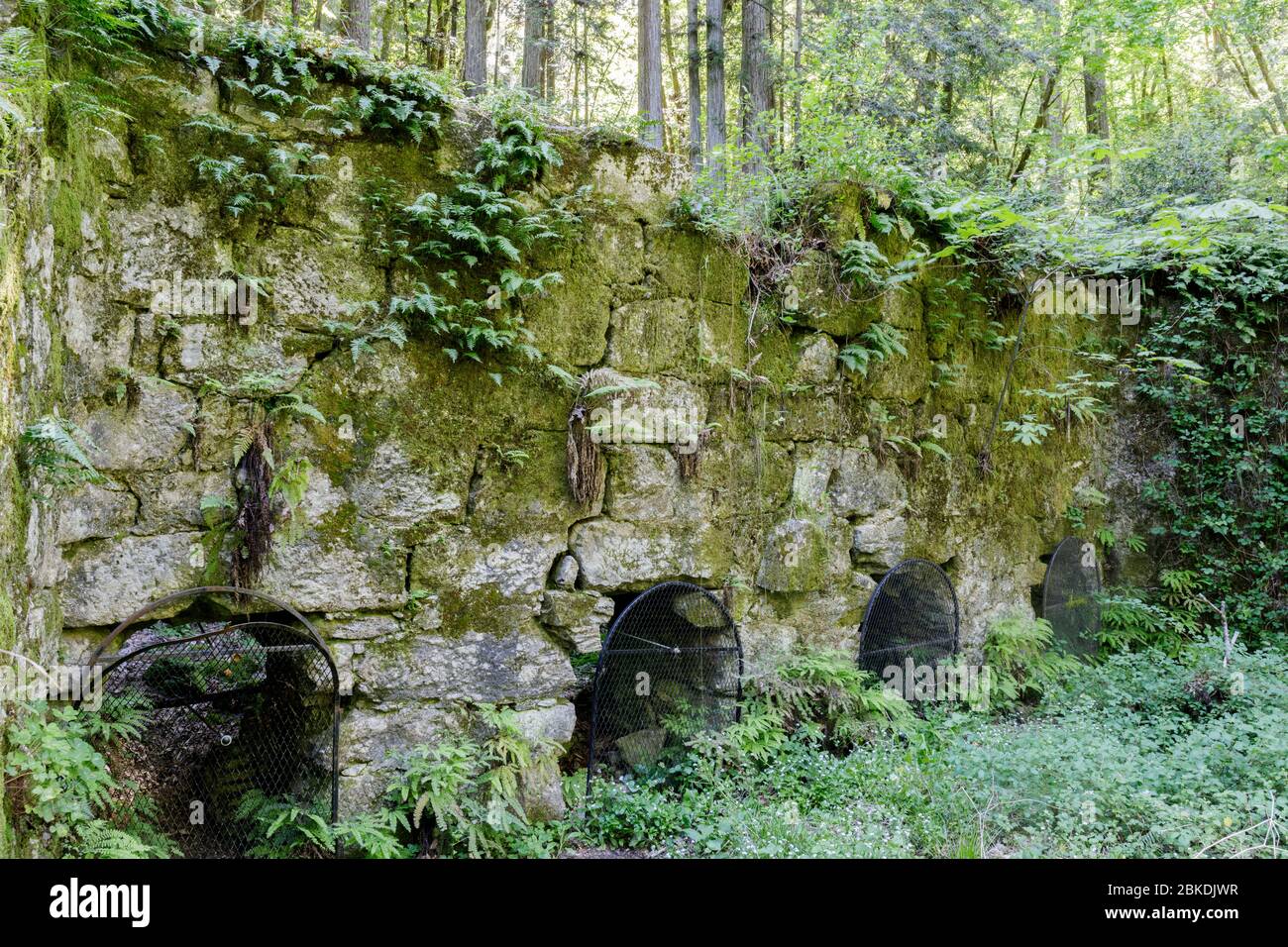 Ruins of Historic Lime Kilns Stock Photo