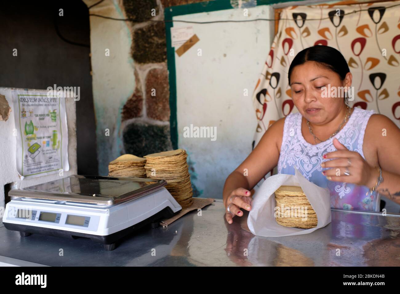 Woman weighing corn tortillas on an electronic scale in a small bakery in the town of San Felipe. Tortillas are the basic food of the majority of the Stock Photo