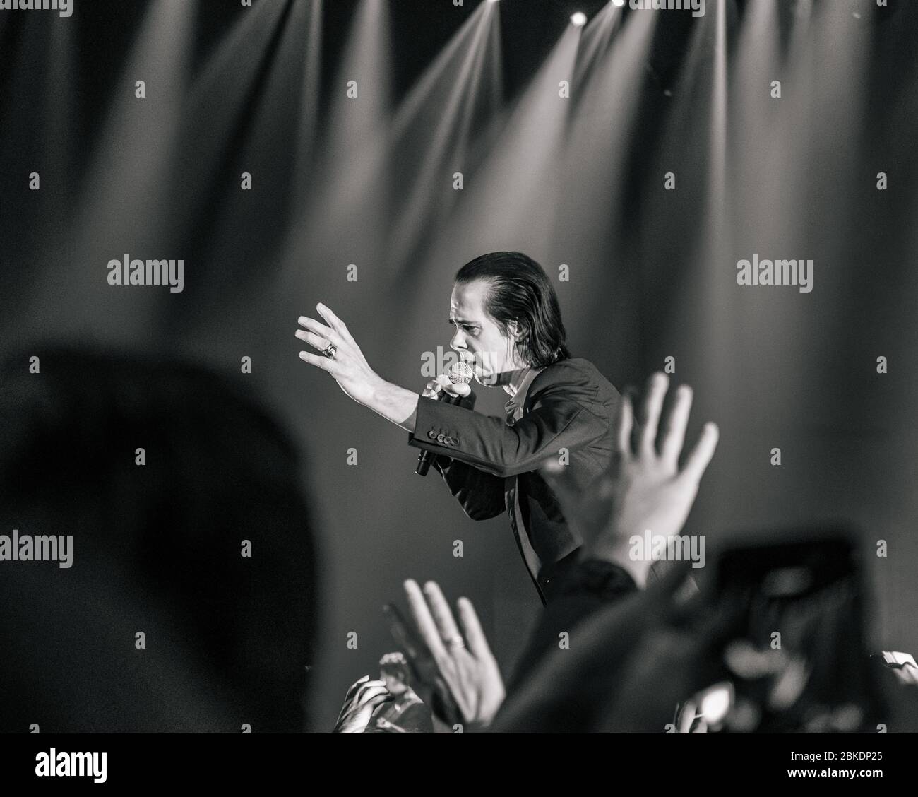 Nick Cave at Belgrade, Serbia 2017 Stock Photo - Alamy