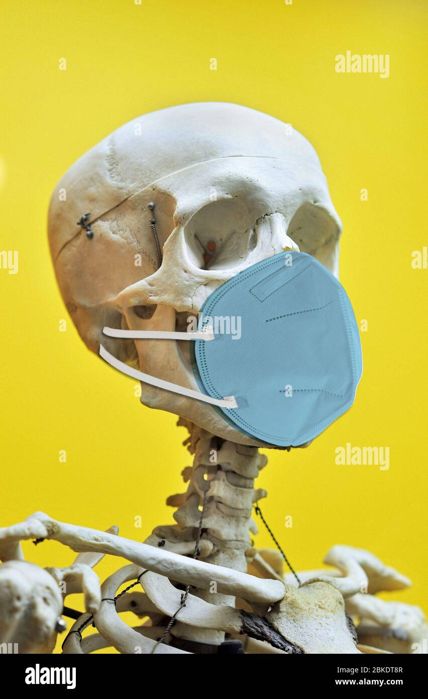 Download Skeleton Mask High Resolution Stock Photography And Images Alamy PSD Mockup Templates