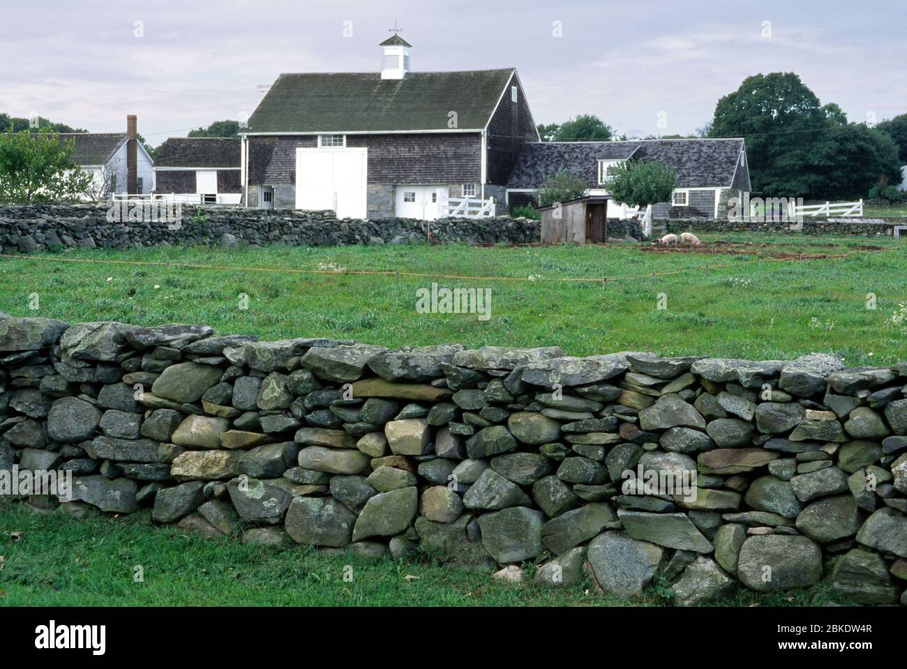 Casey farm rhode island hi-res stock photography and images - Alamy