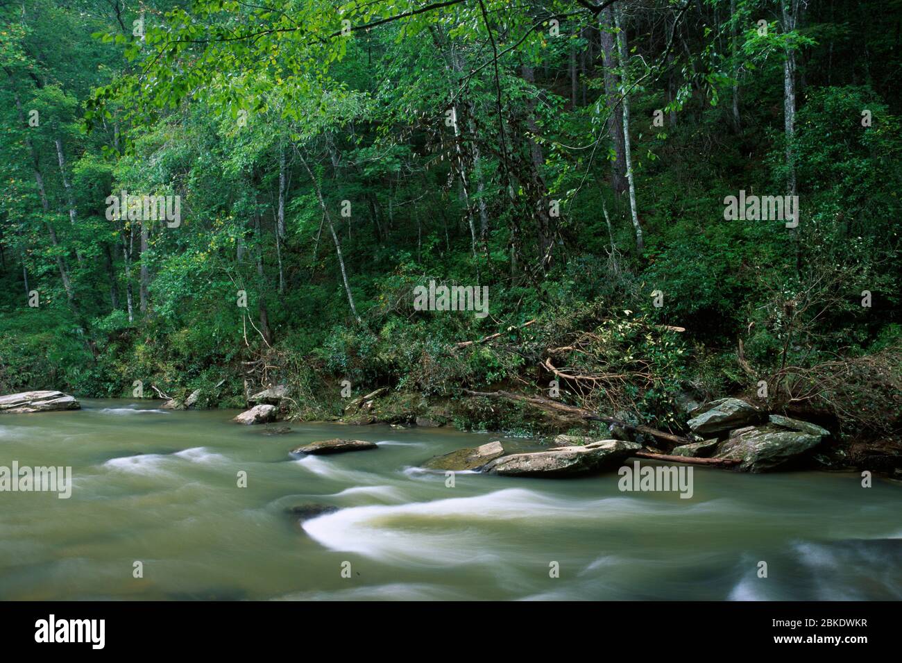 Chauga River, Sumter National Forest, South Carolina Stock Photo Alamy