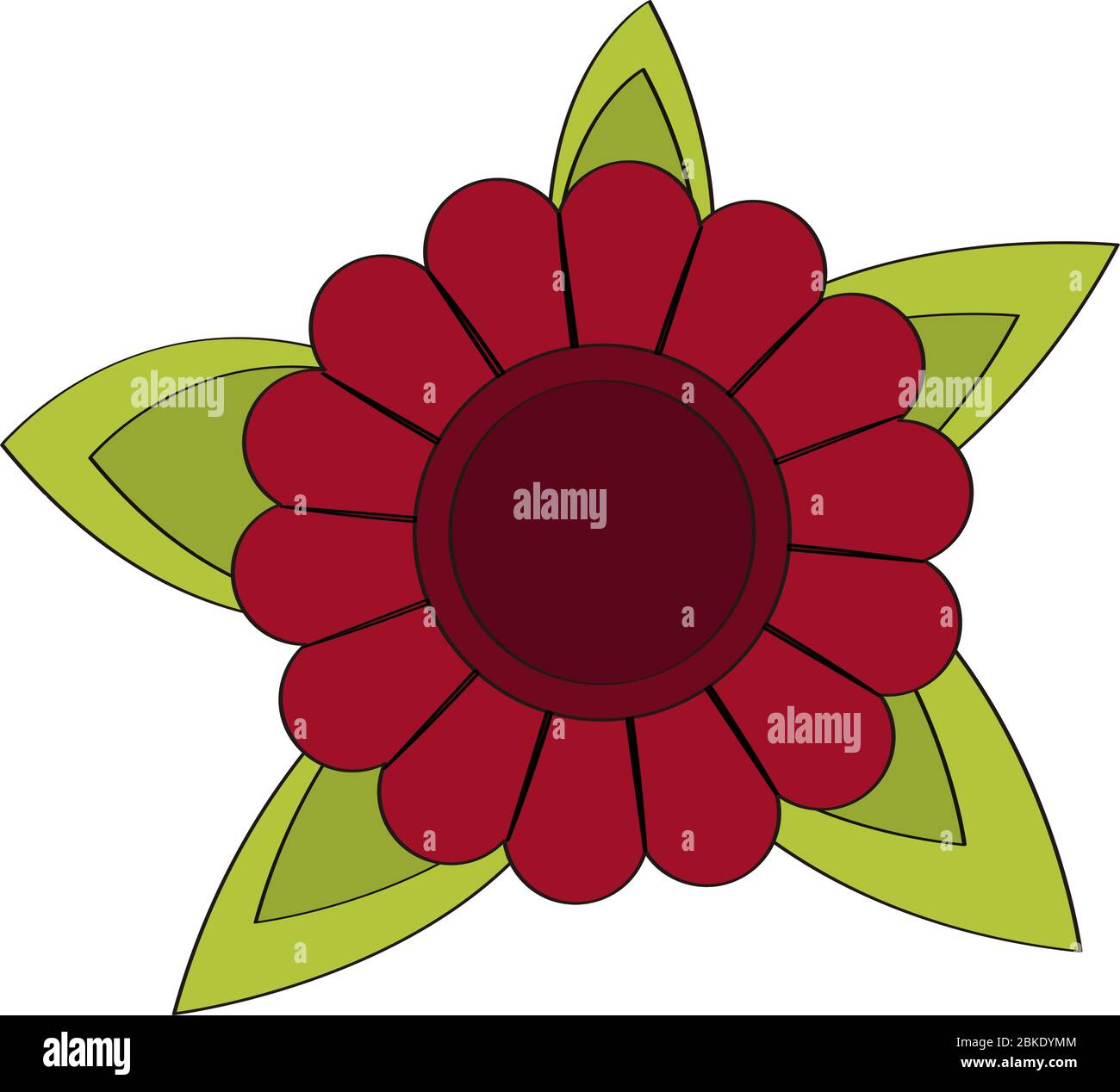 Isolated beautiful flower Stock Vector Image & Art - Alamy