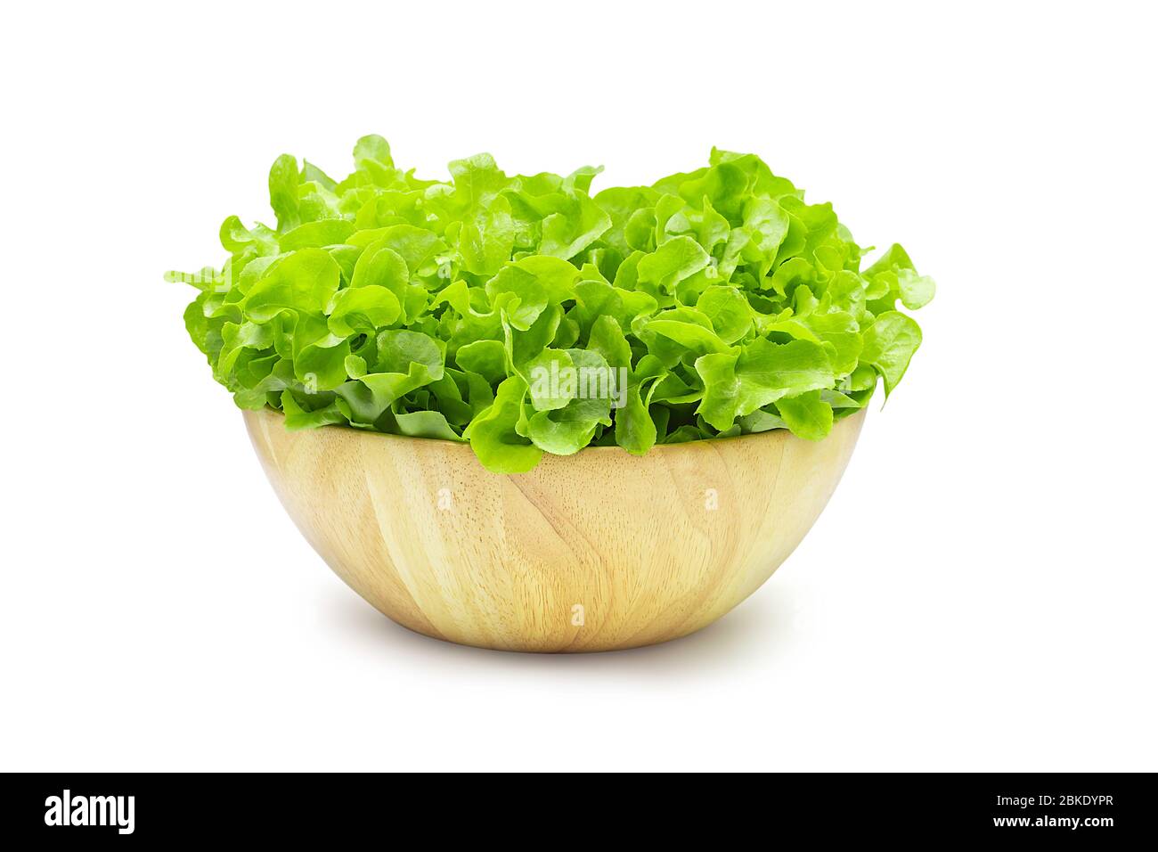Raw organic green oak lettuce in wood bowl on white isolated background with clipping path