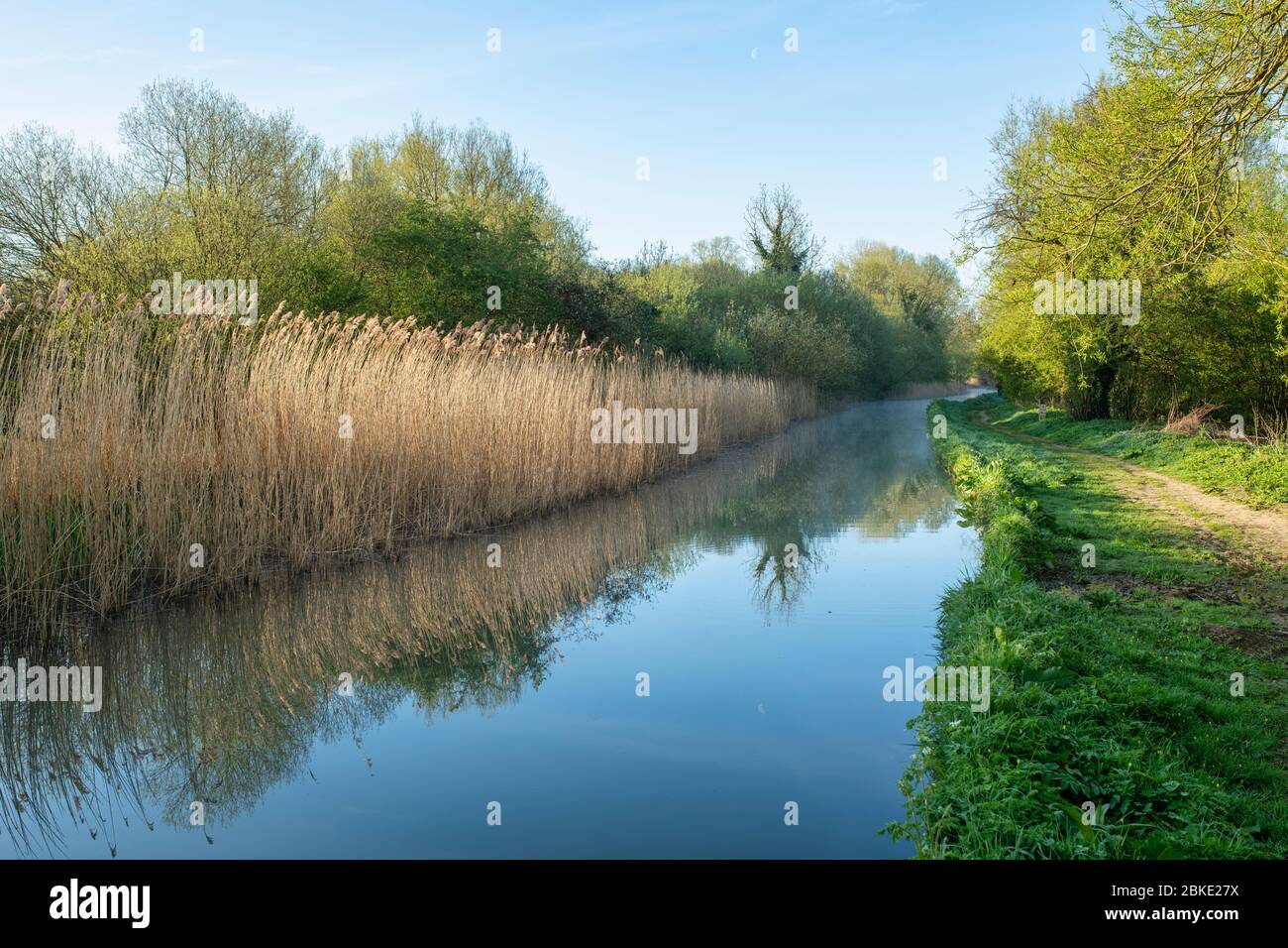 Oxford canal on a spring morning. Lower Heyford, Oxfordshire, England Stock Photo