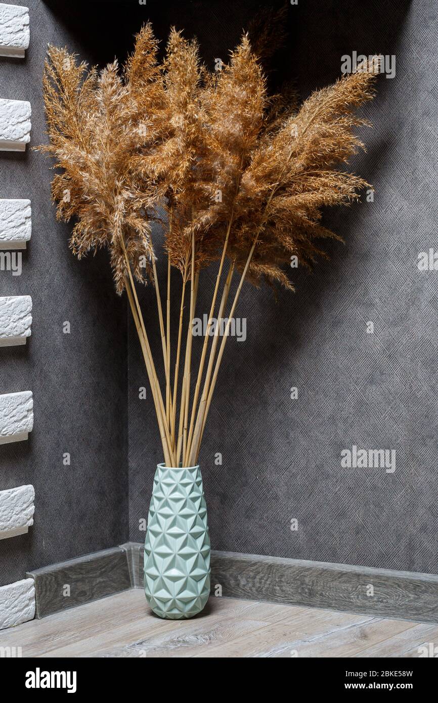 Dried reeds as home decor. Minimalistic cozy interior. Natural interior ...