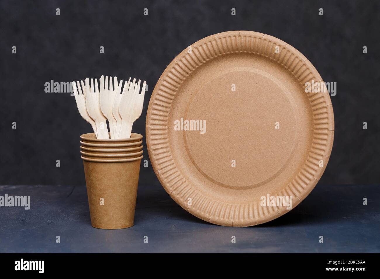 Disposable cardboard dishes made from environmentally friendly