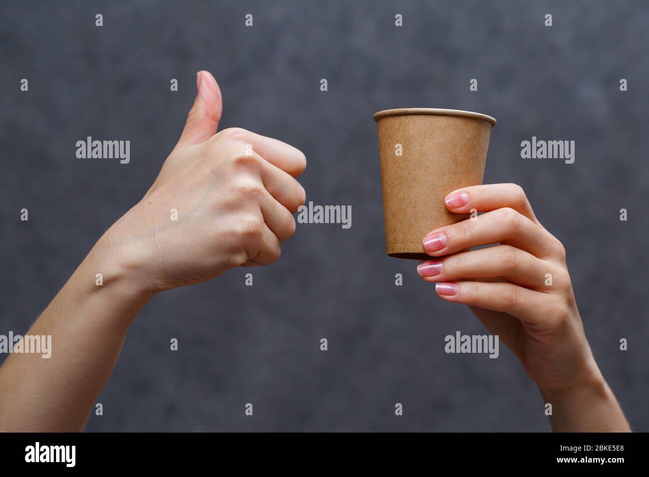 Disposable cardboard dishes made from environmentally friendly