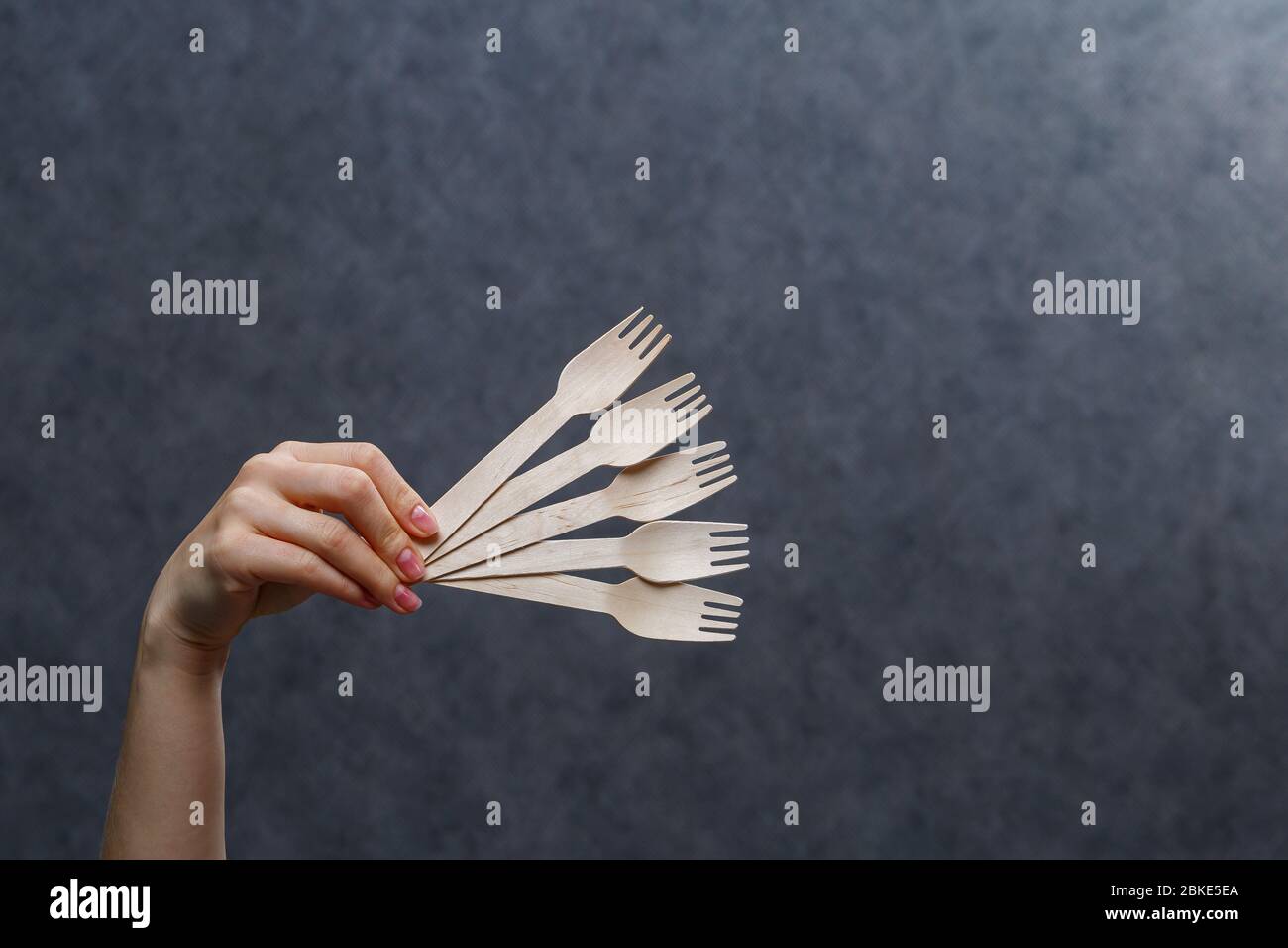 Disposable cardboard dishes made from environmentally friendly