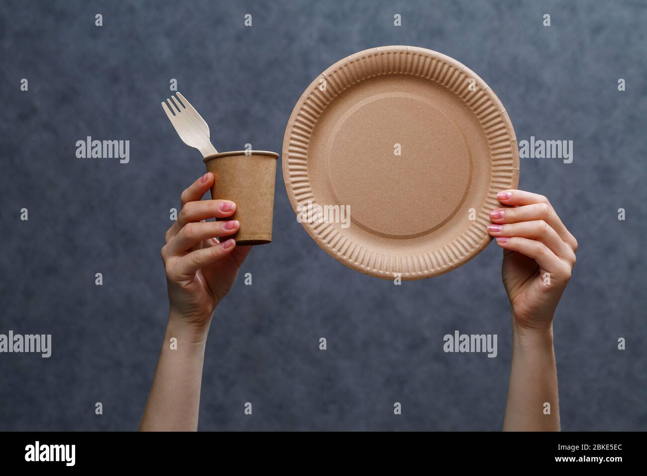 Disposable cardboard dishes made from environmentally friendly