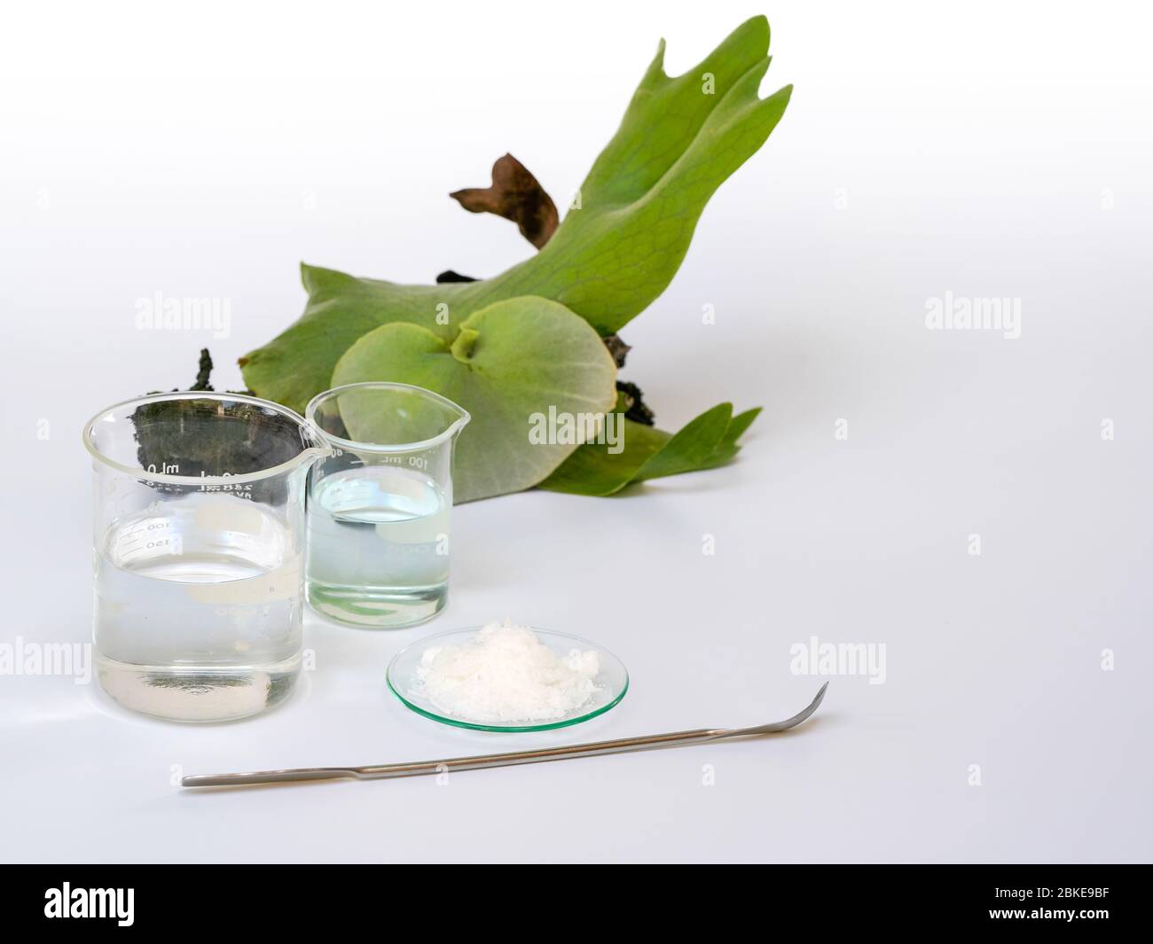 Cetyl esters wax, Chemical used in OTC products and topical