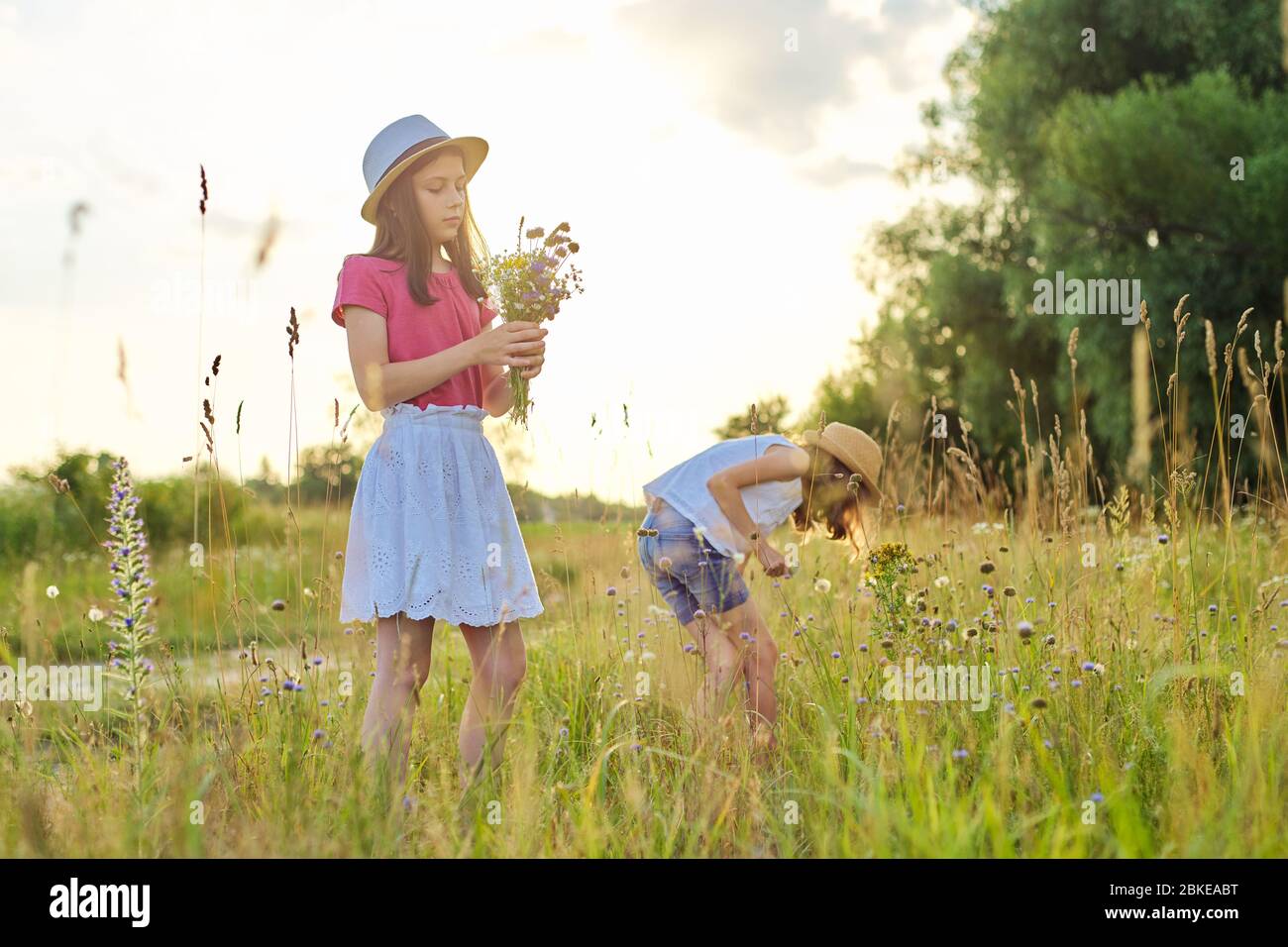Two pretty girls children walking in sunny meadow picking wildflowers in bouquet Stock Photo
