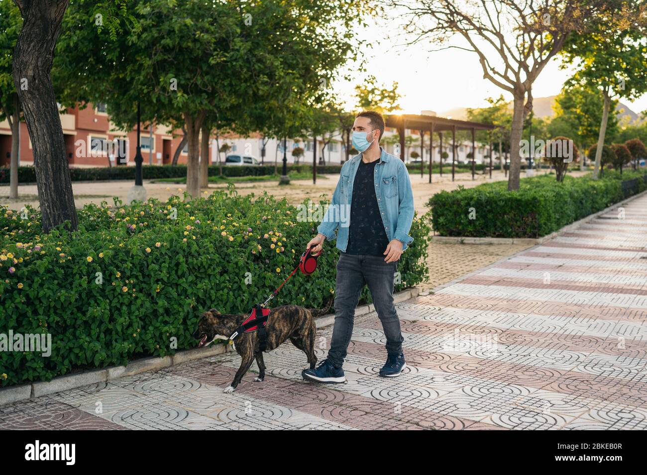 Young man in medical mask walking in the park with his dog. Covid-19 coronavirus pandemic. Active quarantined life in the Corona outbreak. Stock Photo
