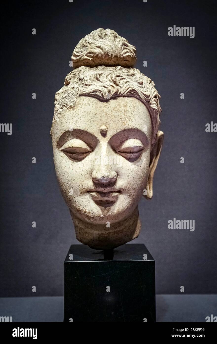 Head of Buddha, stucco, 3rd - 5th century, Hadda, Afghanistan Stock Photo