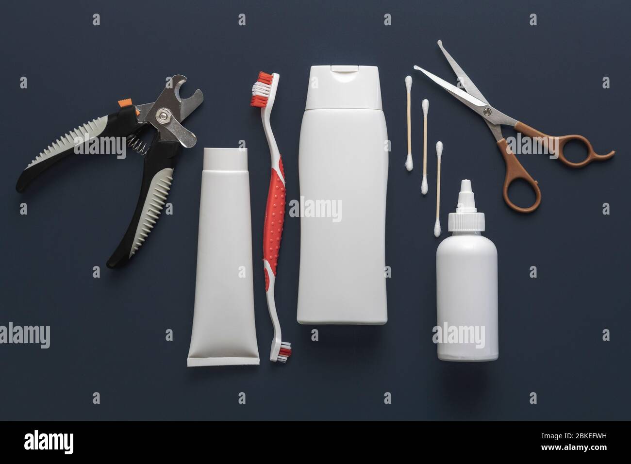 Veterinary vet tools hi-res stock photography and images - Alamy