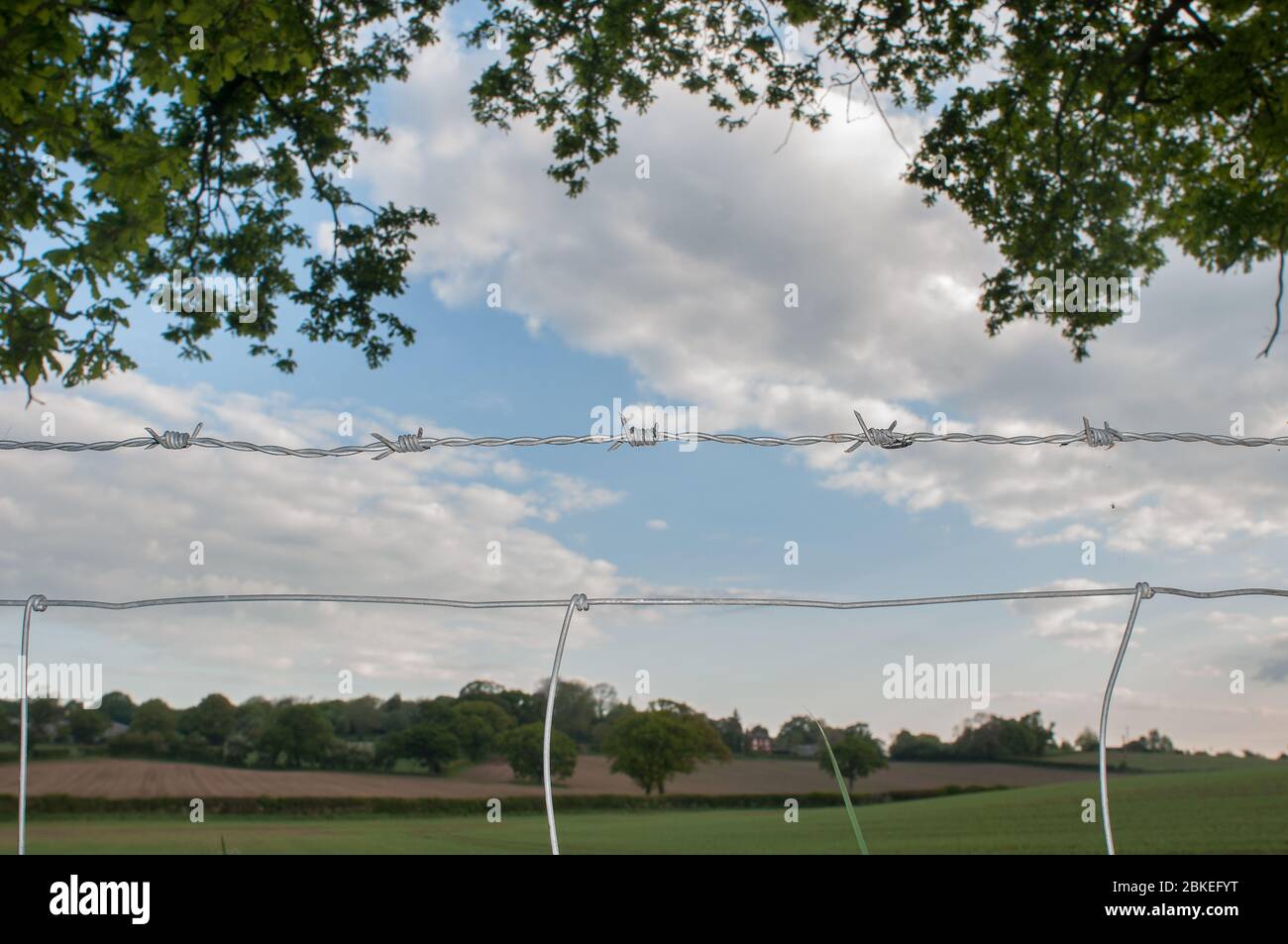 barbed wire Stock Photo