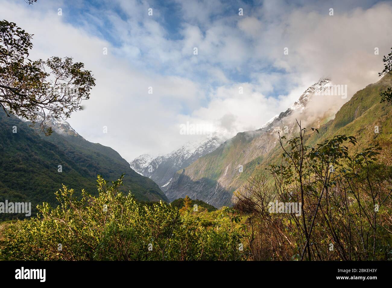 Glacier carved valley, Franz Josef National Park. Rainforest view to Southern Alps. Green Alpine valley, snow capped peaks and cloudy sky background Stock Photo