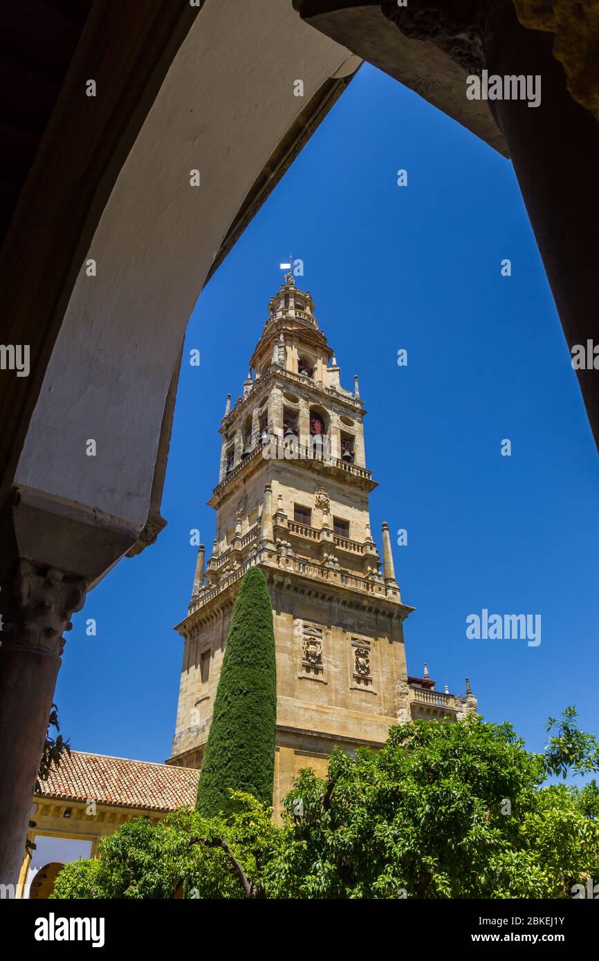 Arch and bell tower of the mosque cathedral in Cordoba, Spain Stock Photo