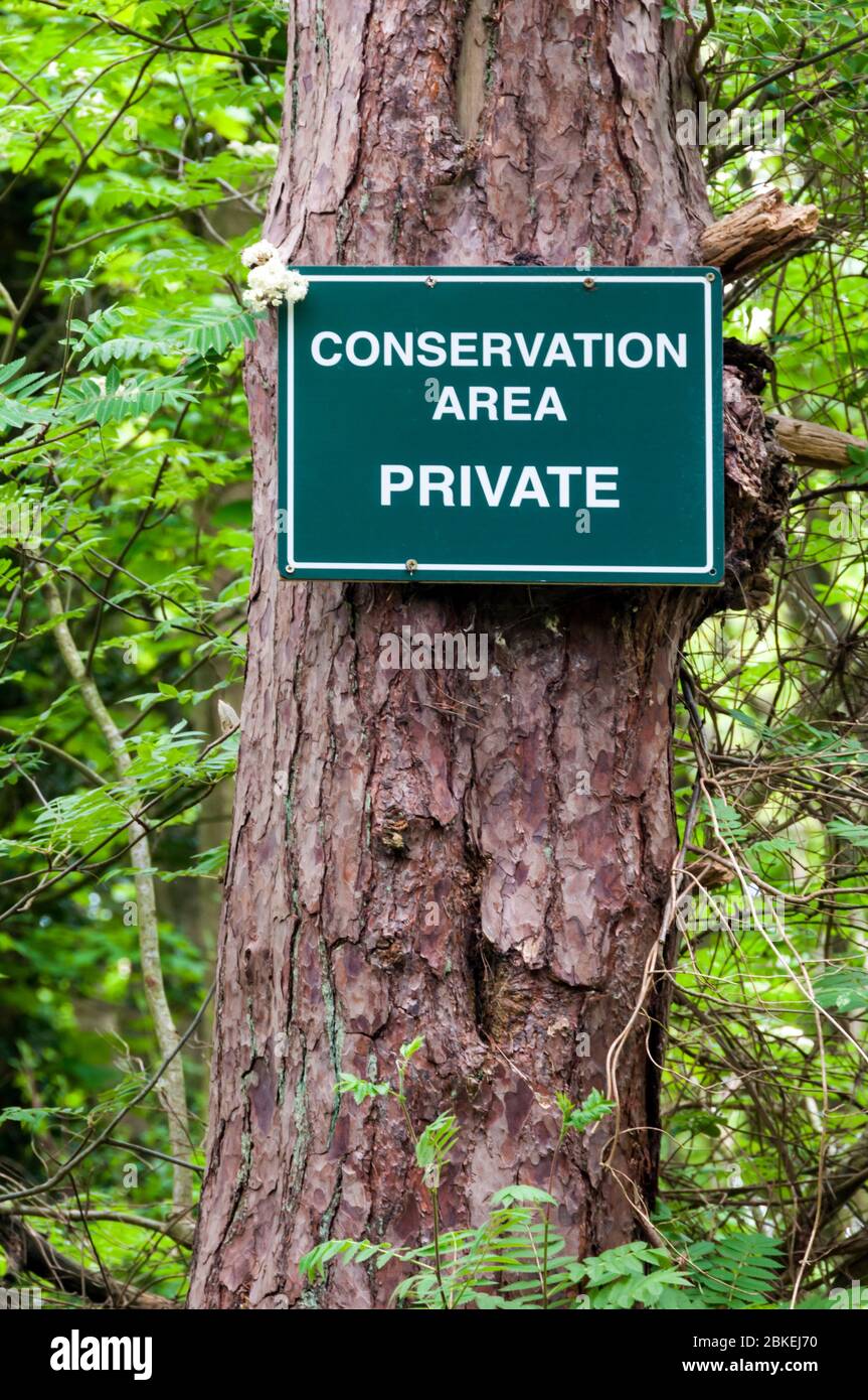 Conservation Area, Private, sign fixed to a tree in a woodland area to protect an area set aside for wildlife conservation. Stock Photo