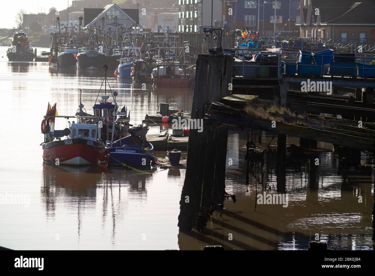 Boats along Newhaven West Quay, East Sussex. UK Stock Photo