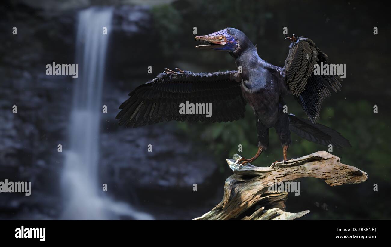 Archaeopteryx Eat What They Do