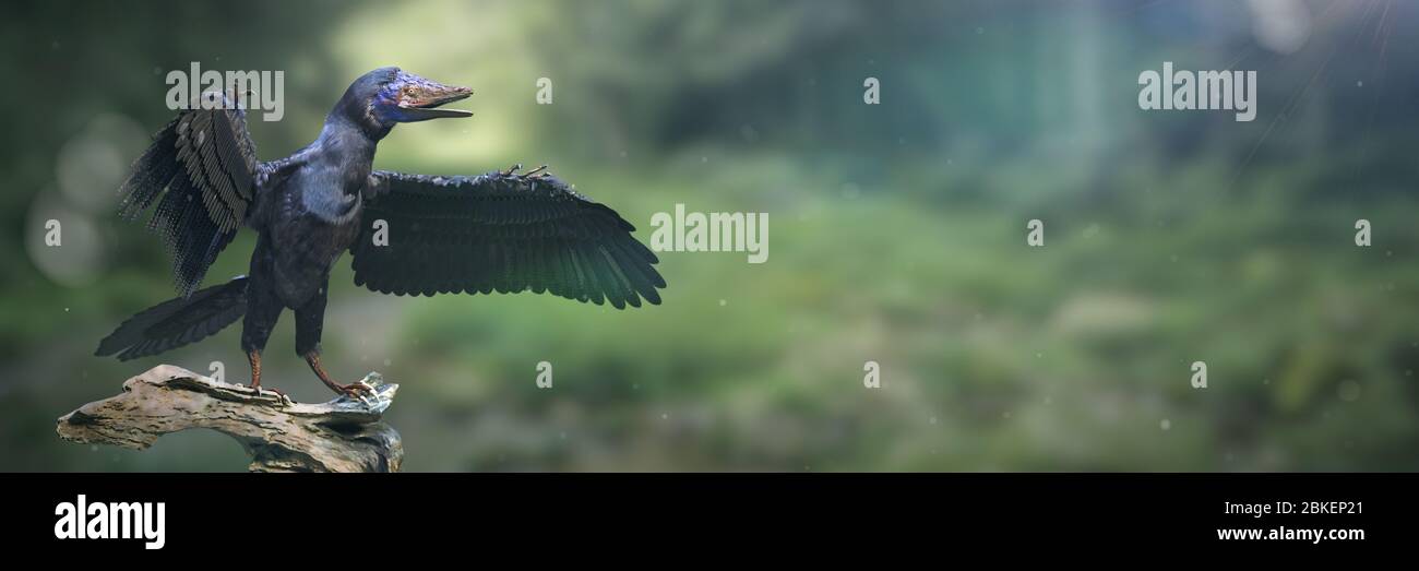 Archaeopteryx Eat What They Do