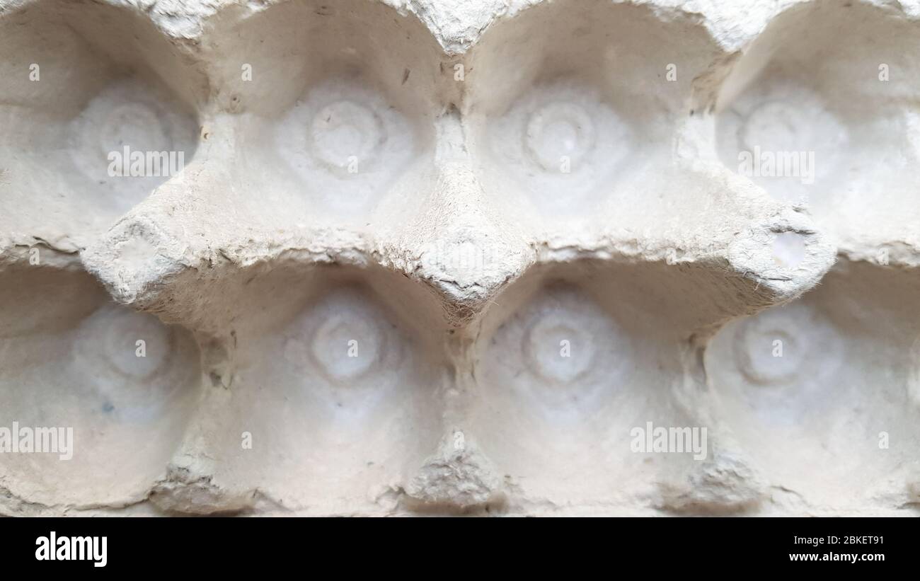 Paper trays empty egg containers. Close-up, top view. Stock Photo