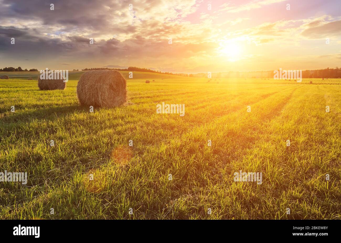 Scene of sunset or sunrise on the field with haystacks in Autumn season ...
