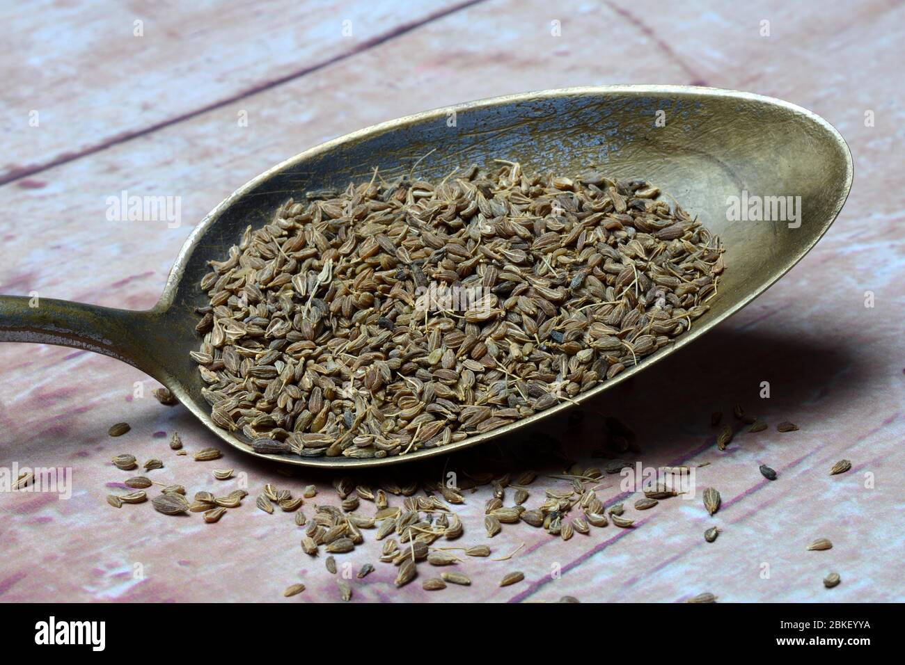 Aniseed, aniseed seeds in spoon, food photography, studio shot, Germany Stock Photo