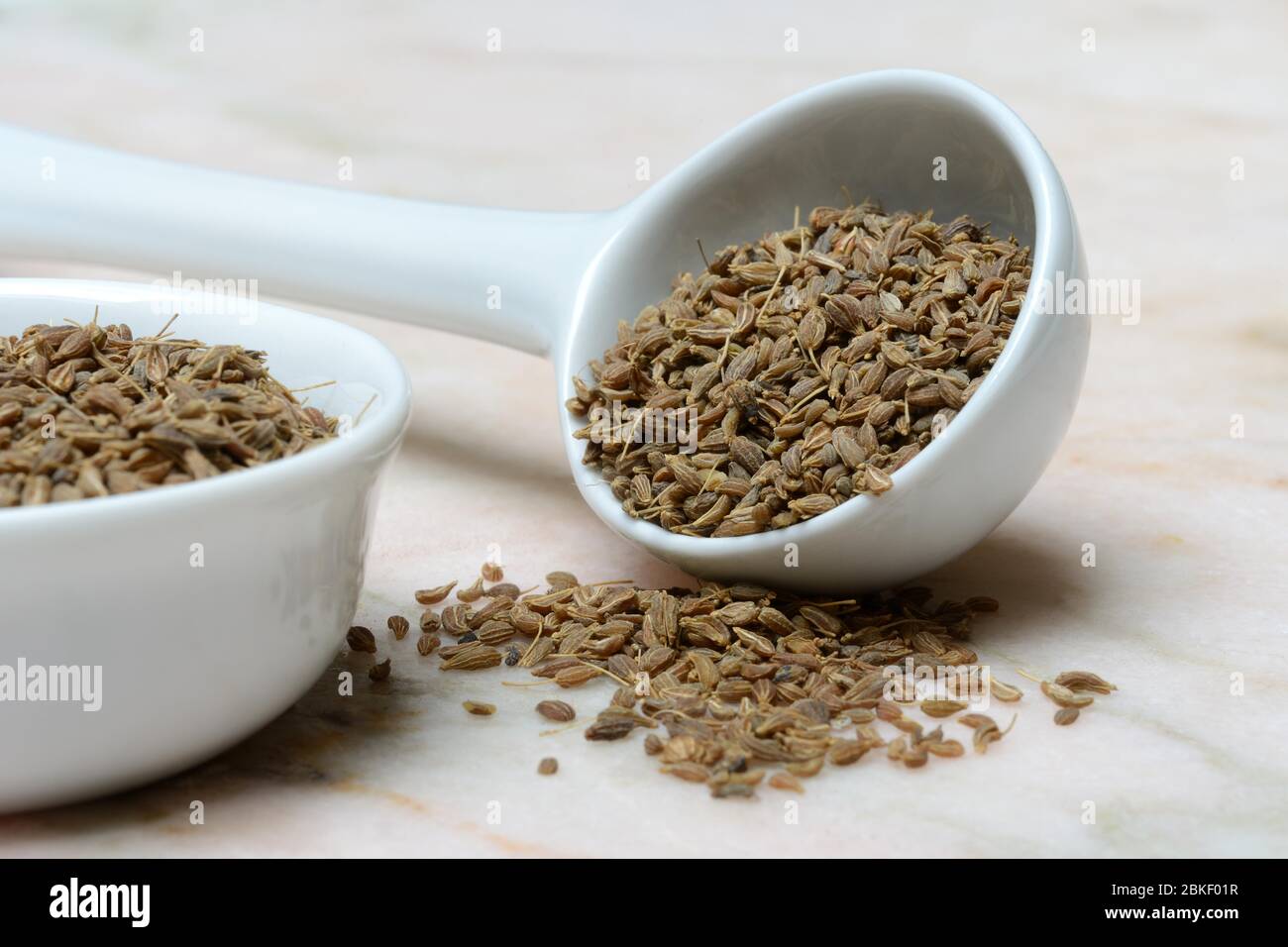 Aniseed, aniseed seeds in ceramic spoon, food photography, studio shot, Germany Stock Photo