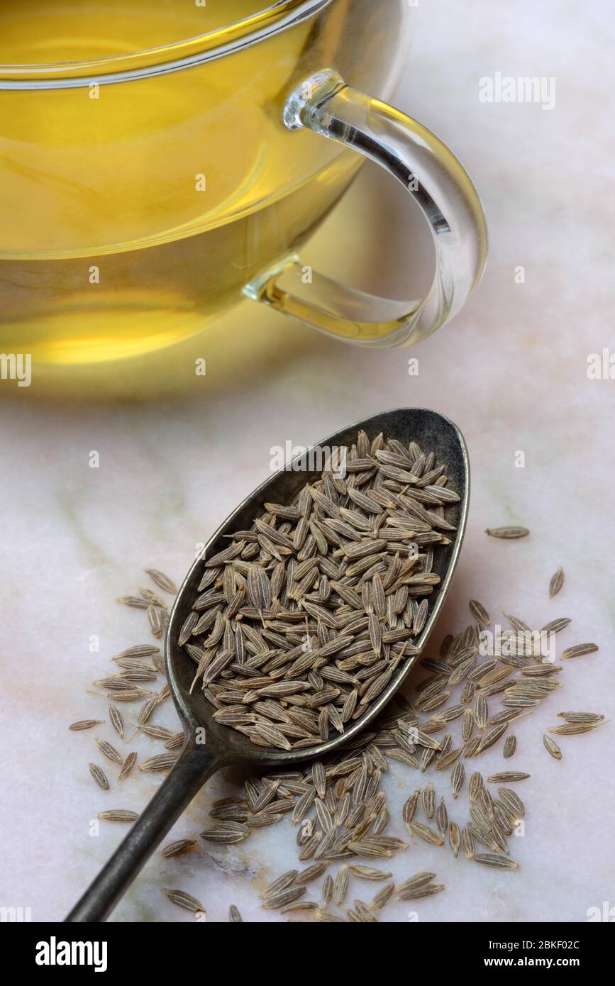 Caraway in spoon and cup caraway tea, food photography, studio shot, Germany Stock Photo