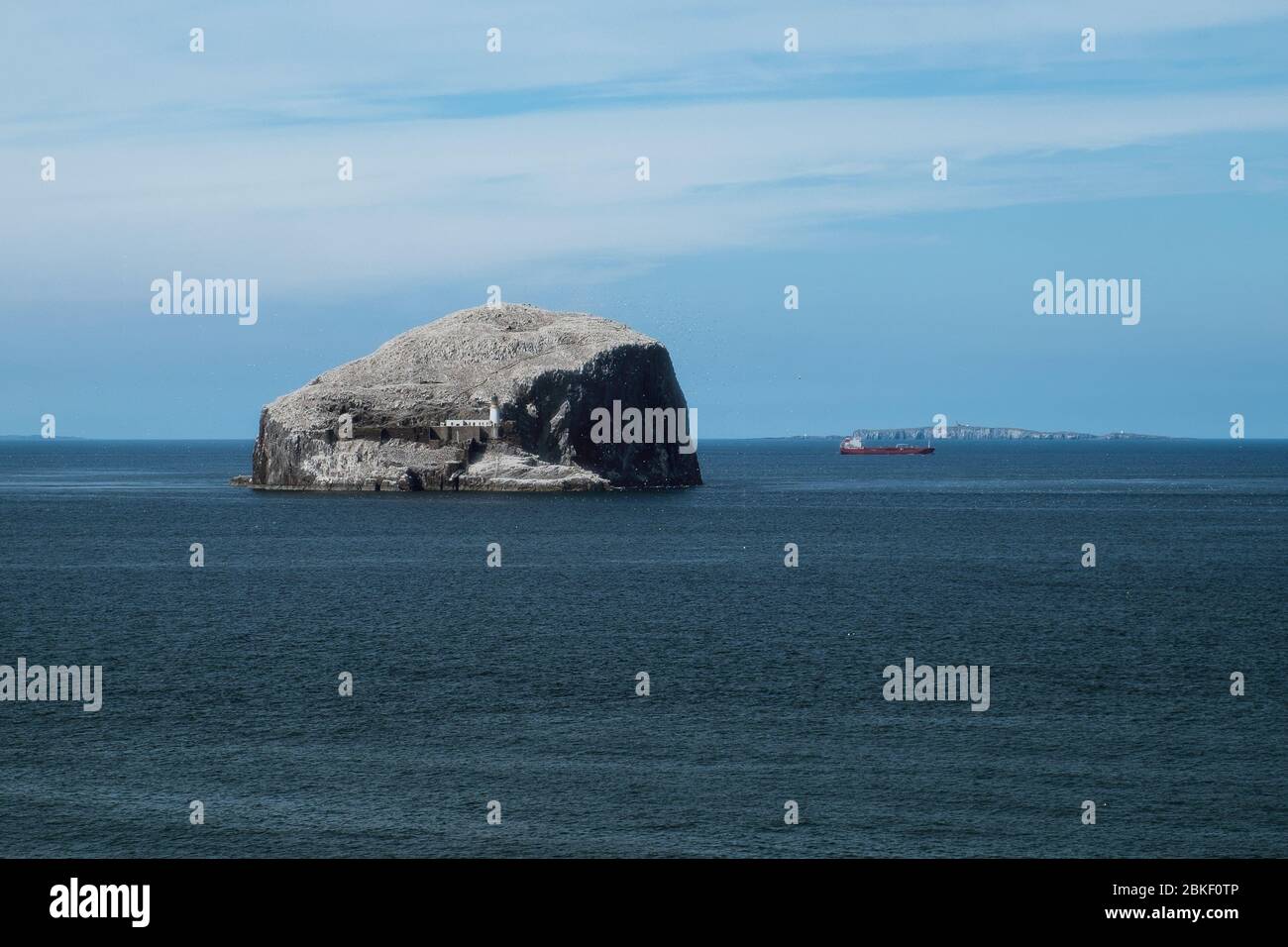 Lighthouse on a cliff, sea, seagulls and red ship. Bass Rock, Scotland, United Kingdom Stock Photo