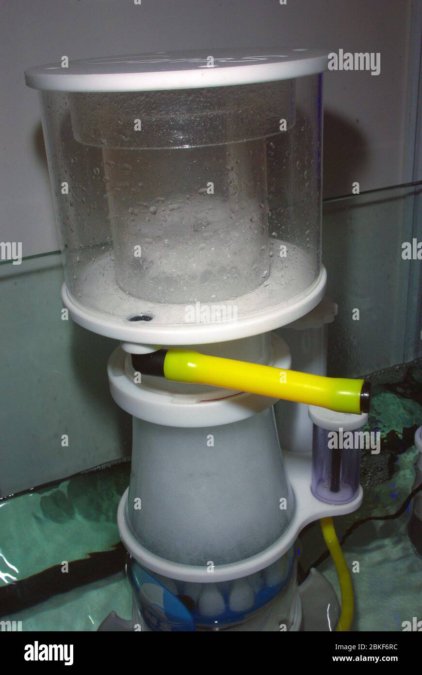 Protein skimmer hi-res stock photography and images - Alamy