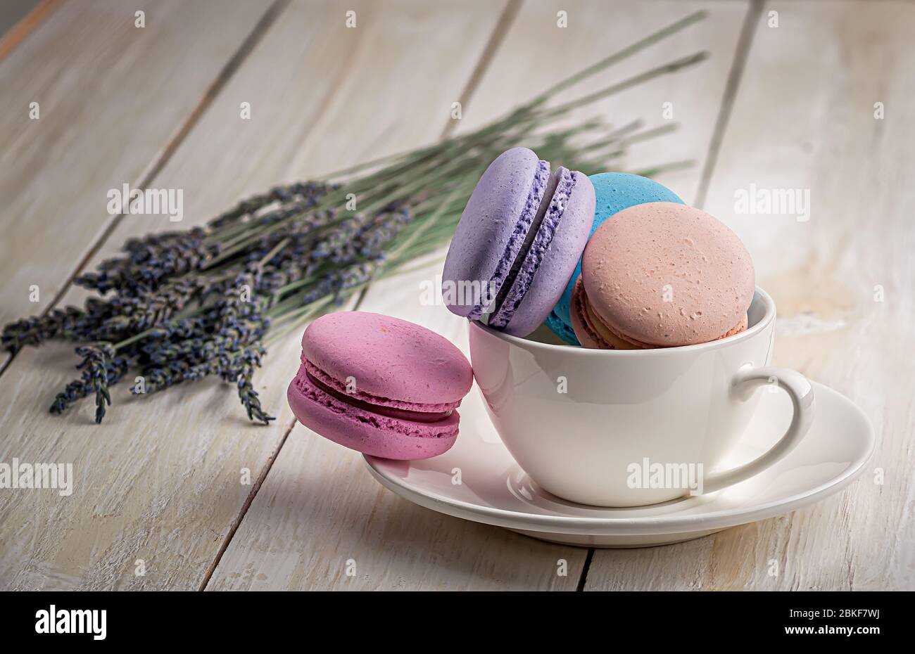 Macaroons in white cup with lavender Stock Photo