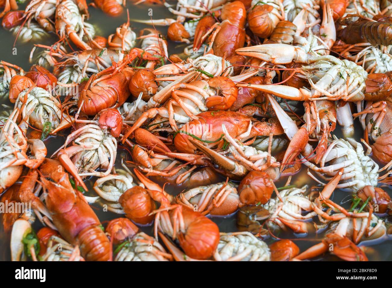 Boiled crawfish, fried crawfish, crawfish étouffée, crawfish