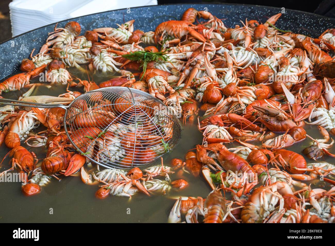 Boiled crawfish, fried crawfish, crawfish étouffée, crawfish