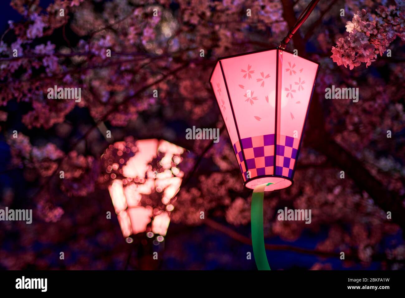 Sakura lantern hi-res stock photography and images - Alamy