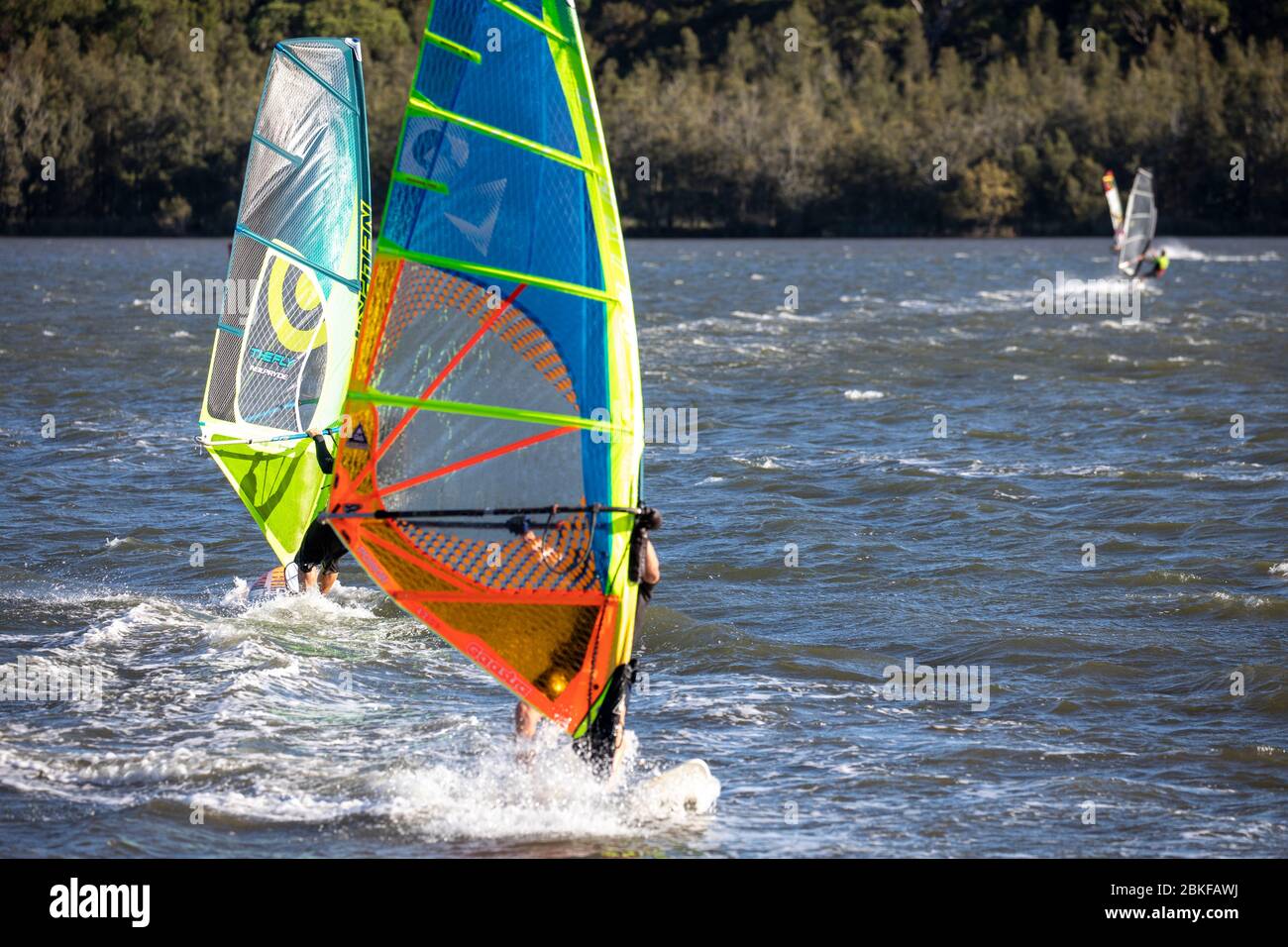 Australia windsurfing on narrabeen lake in Sydney on a windy autumn day