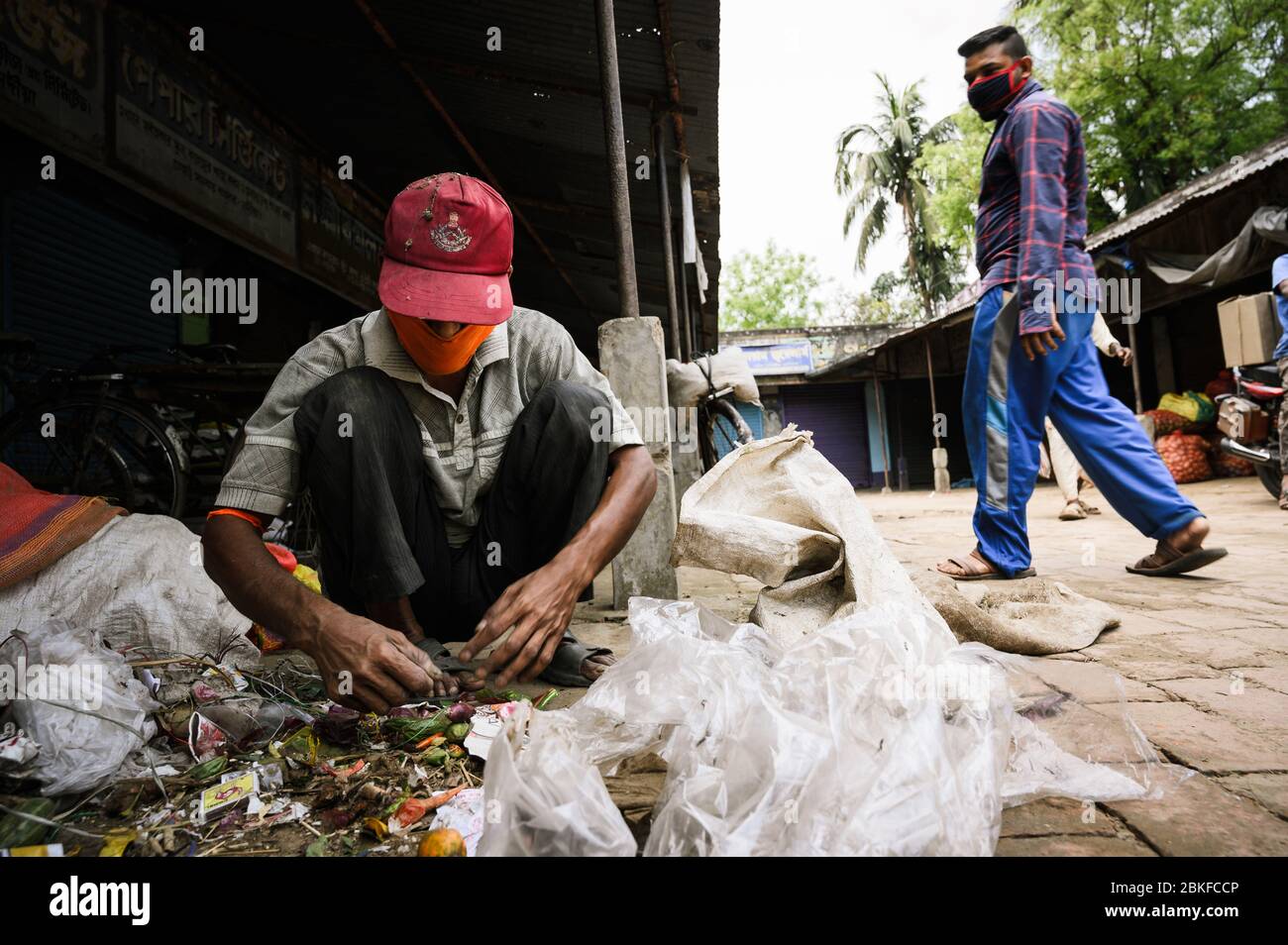After sweeping the market the whole day a worker is collecting dry vegetables from the trash without gloves at Tehatta. The West Bengal government has identified seven of its areas as “hotspots’ of the corona virus infection, Tehatta (West Bengal, India) is one of them. So far 6 positive cases have been identified from Tehatta. Stock Photo