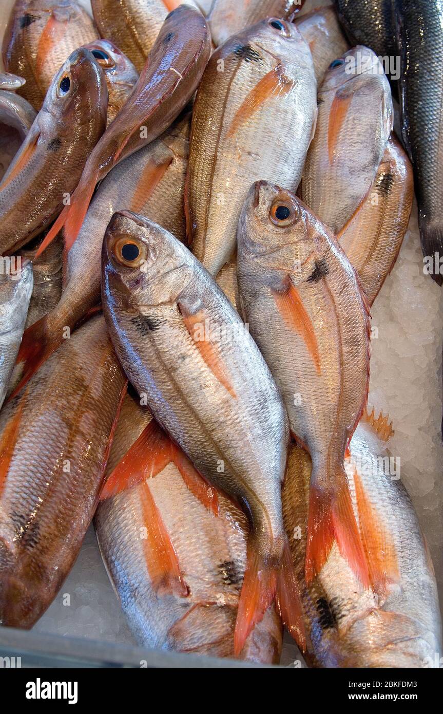 Dorades at Sanary sur Mer fish market, south of France Stock Photo - Alamy