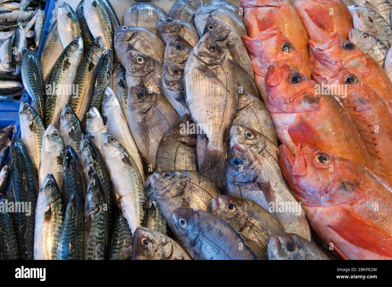 Fresh fish at Sanary-sur-Mer fish market, South of France Stock Photo