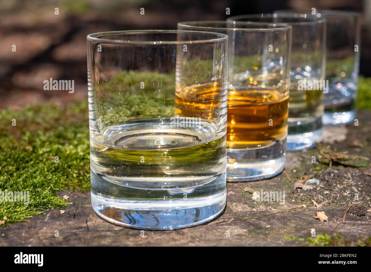 Tasting of scotch single malt whisky from Islay island, most intensely