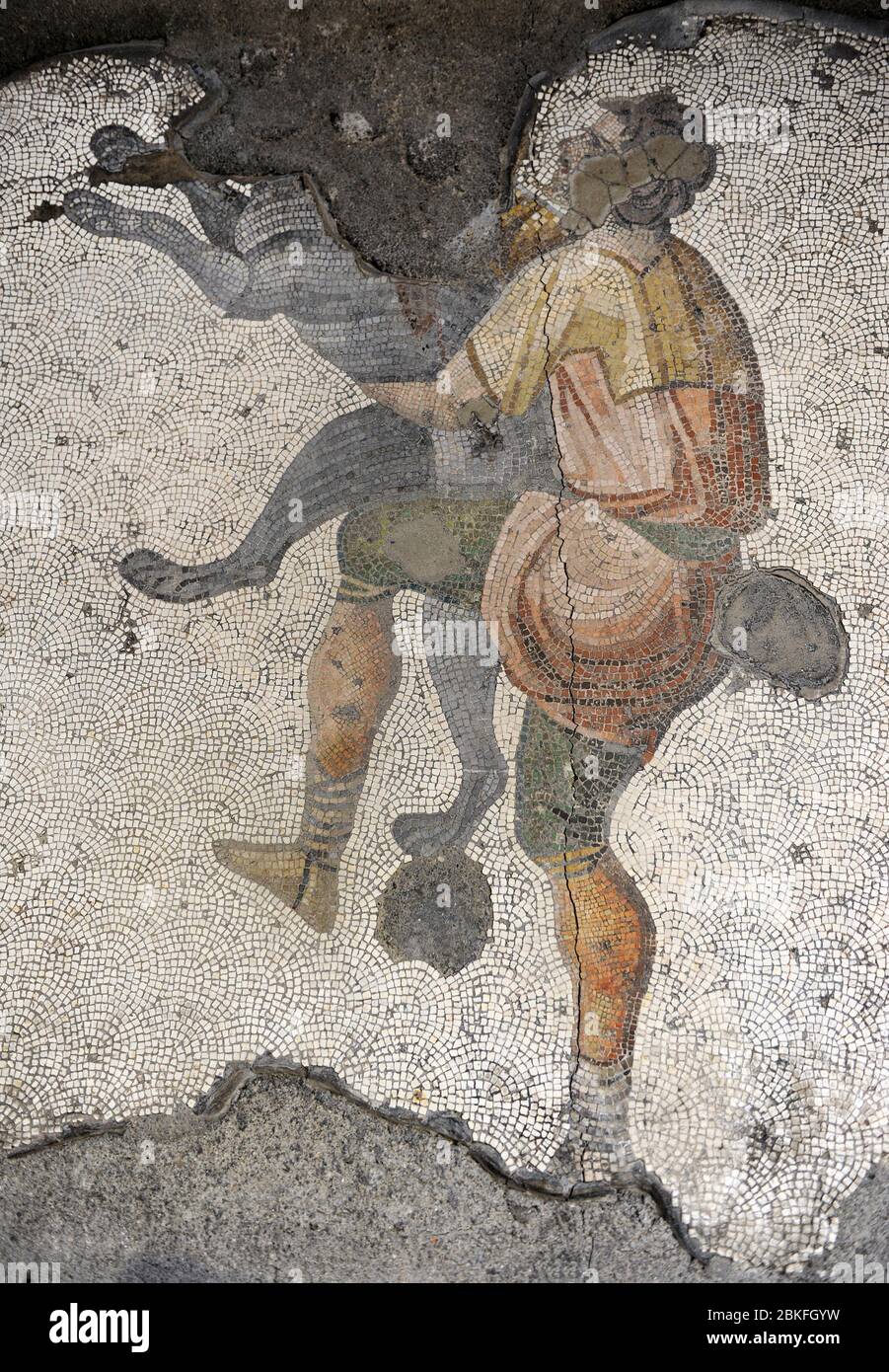 Great Palace of Constantinople (East Roman period). Detail of one of the mosaics that decorated the pavements. Hunter and dog. 4th-6th century. Great Palace Mosaics Museum. Istanbul, Turkey. Stock Photo